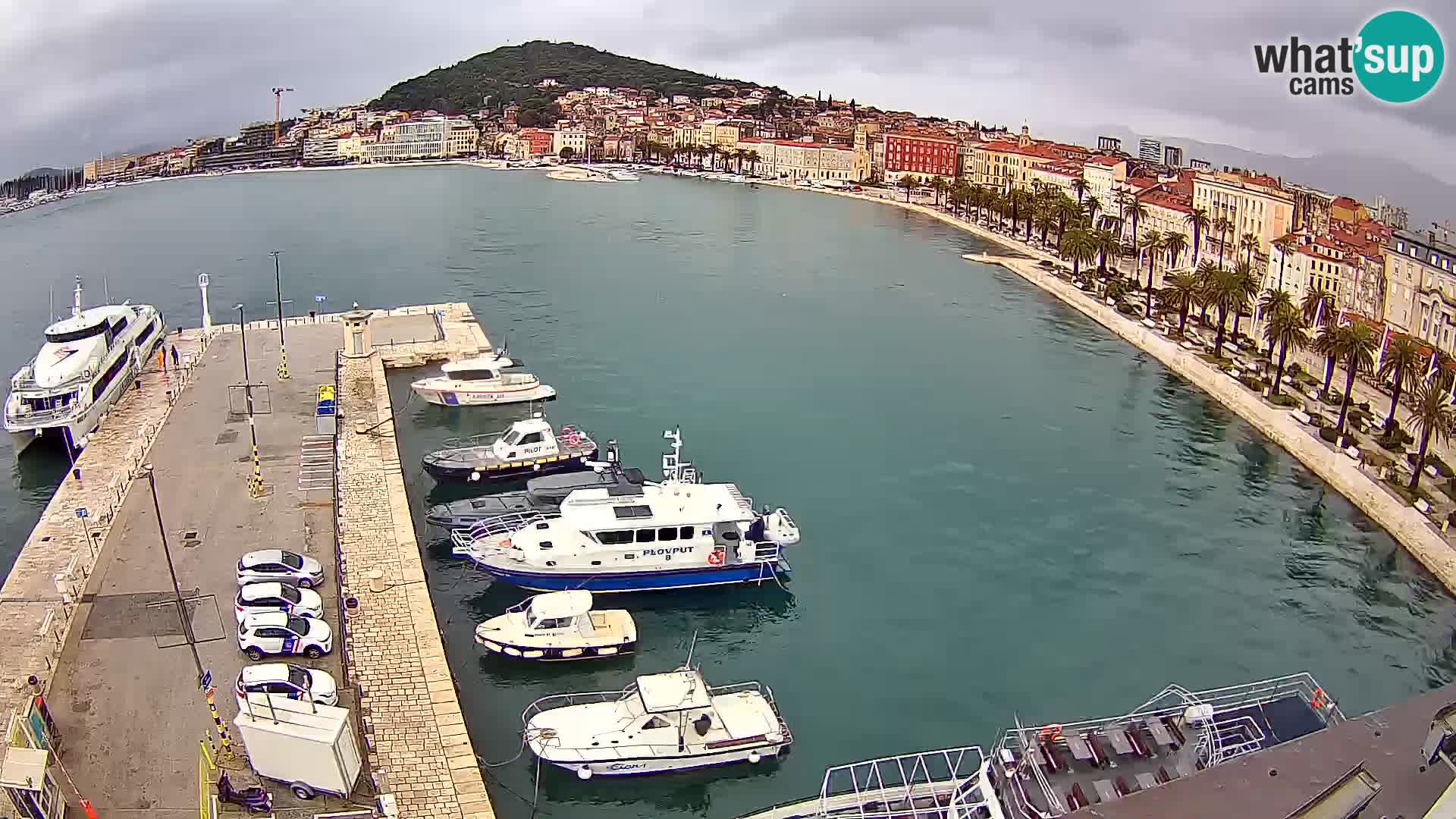 Split v živo panoramska kamera