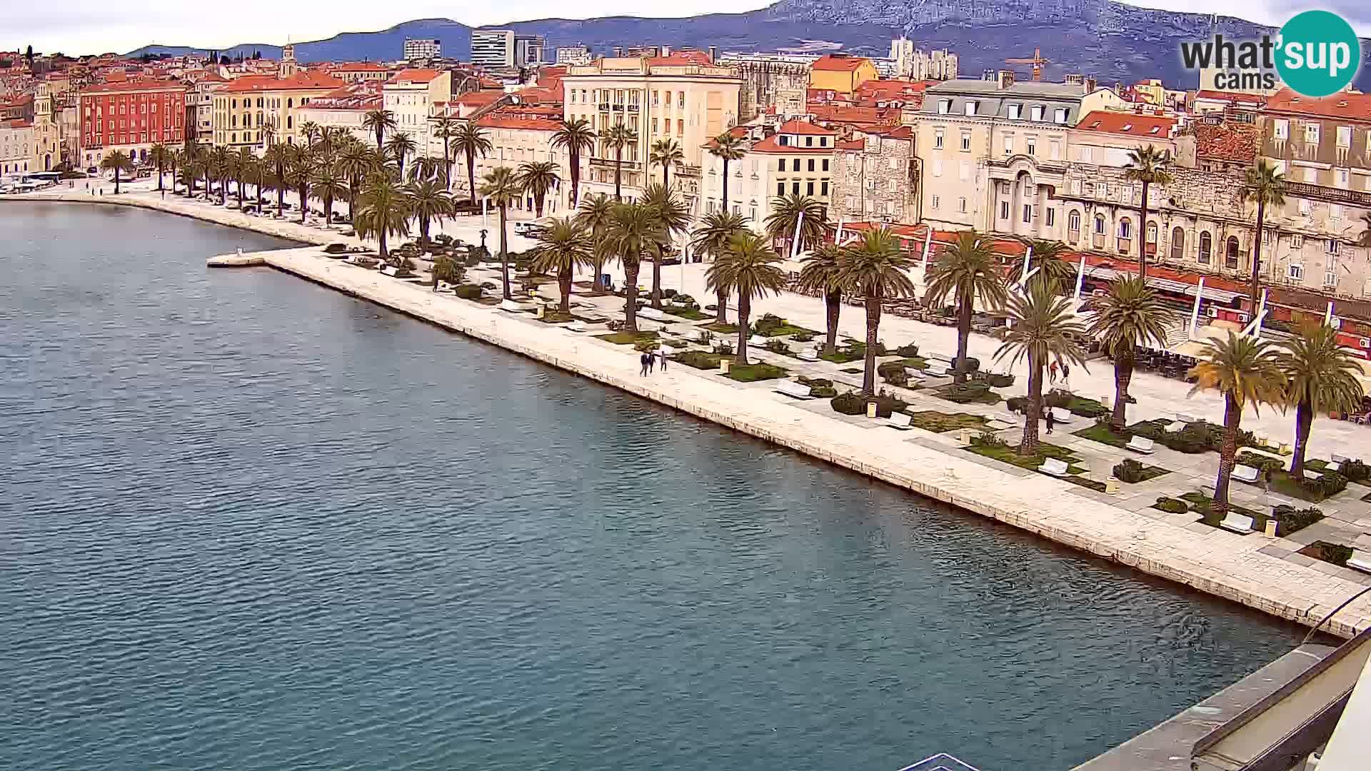 Split livecam panorama