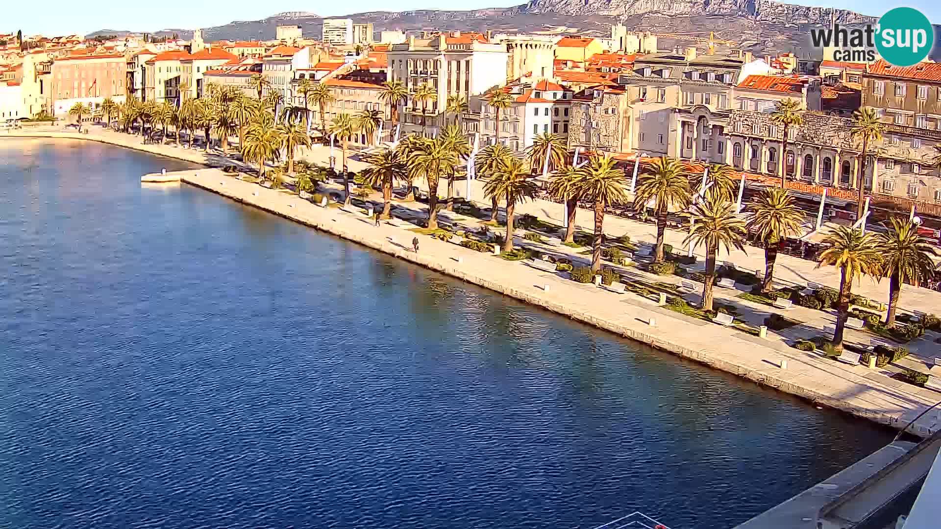 Split v živo panoramska kamera