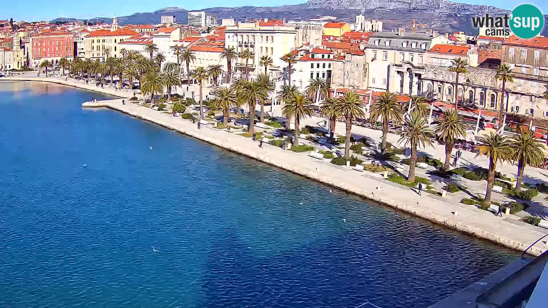 Split v živo panoramska kamera