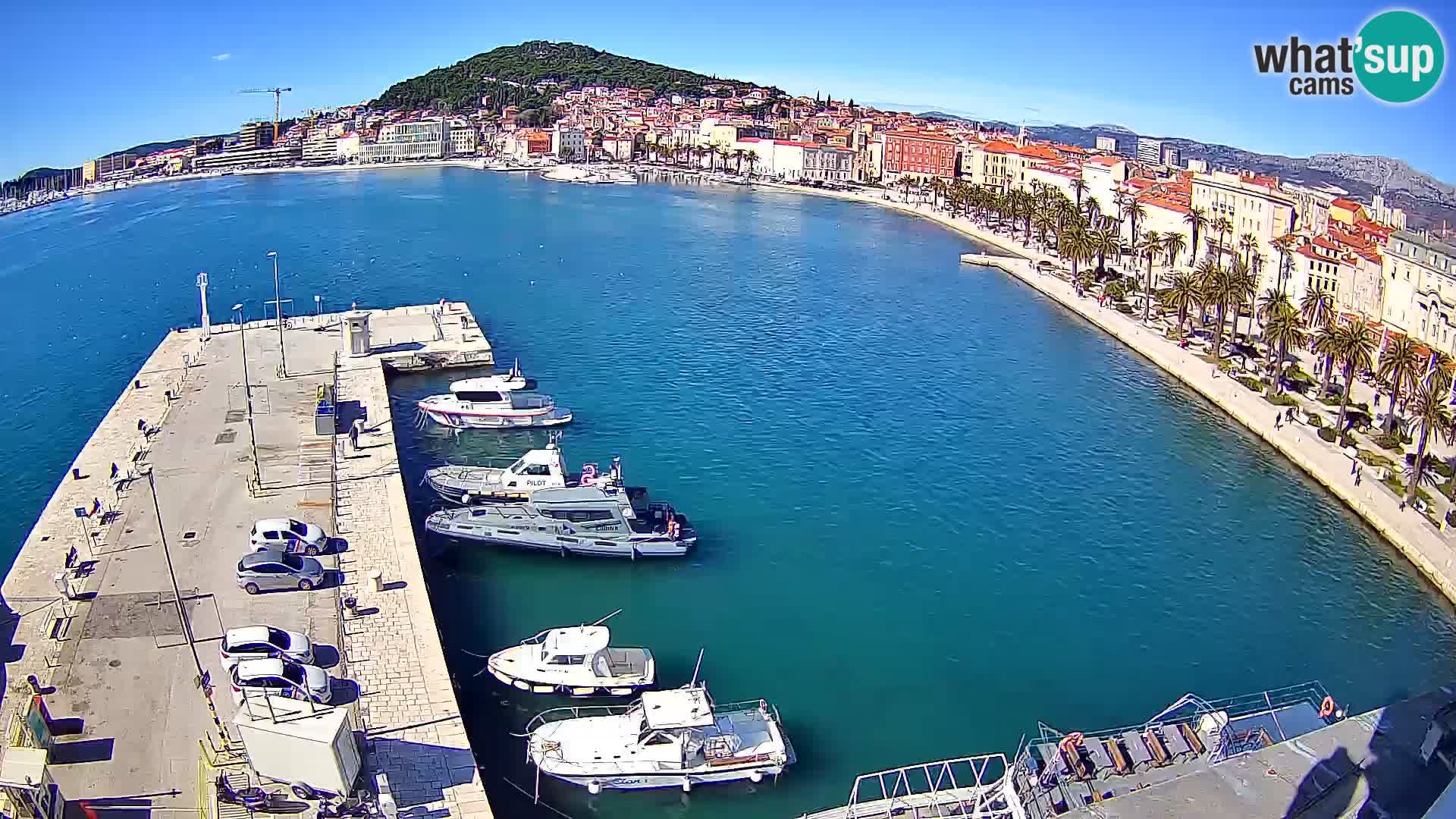 Split livecam panorama