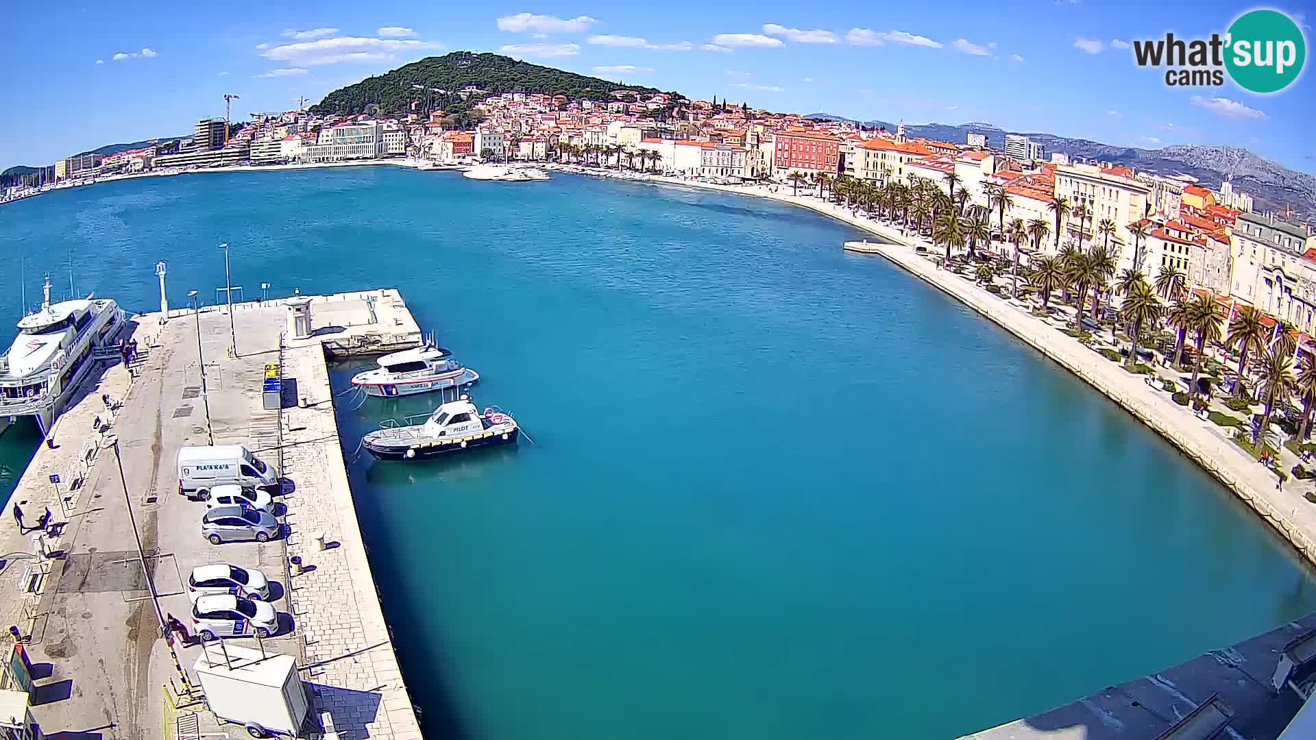 Split v živo panoramska kamera