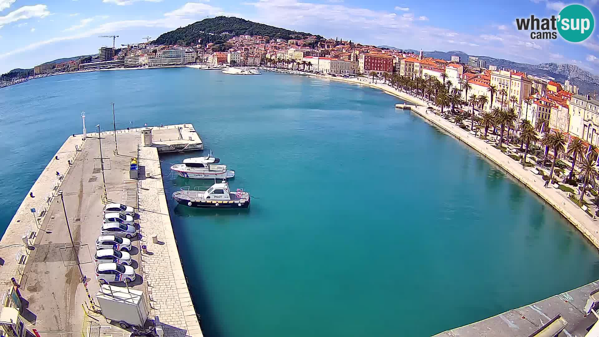 Split v živo panoramska kamera