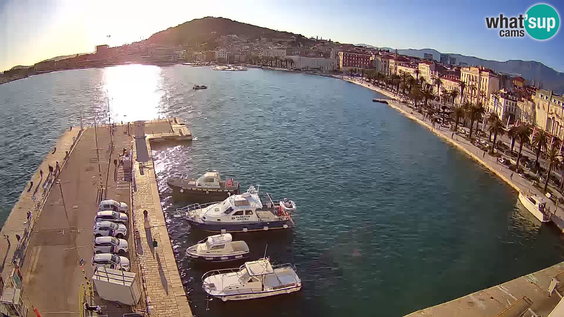 Split v živo panoramska kamera