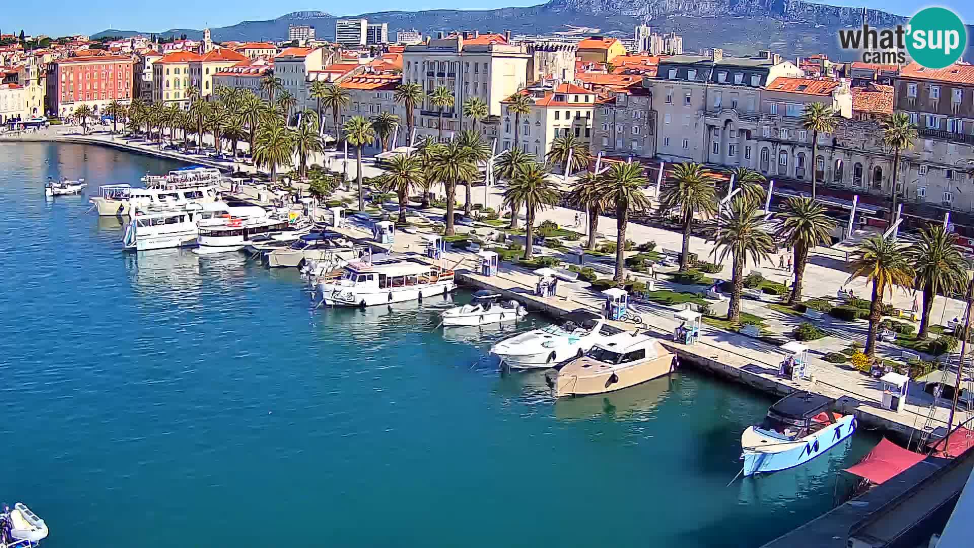 Split livecam panorama