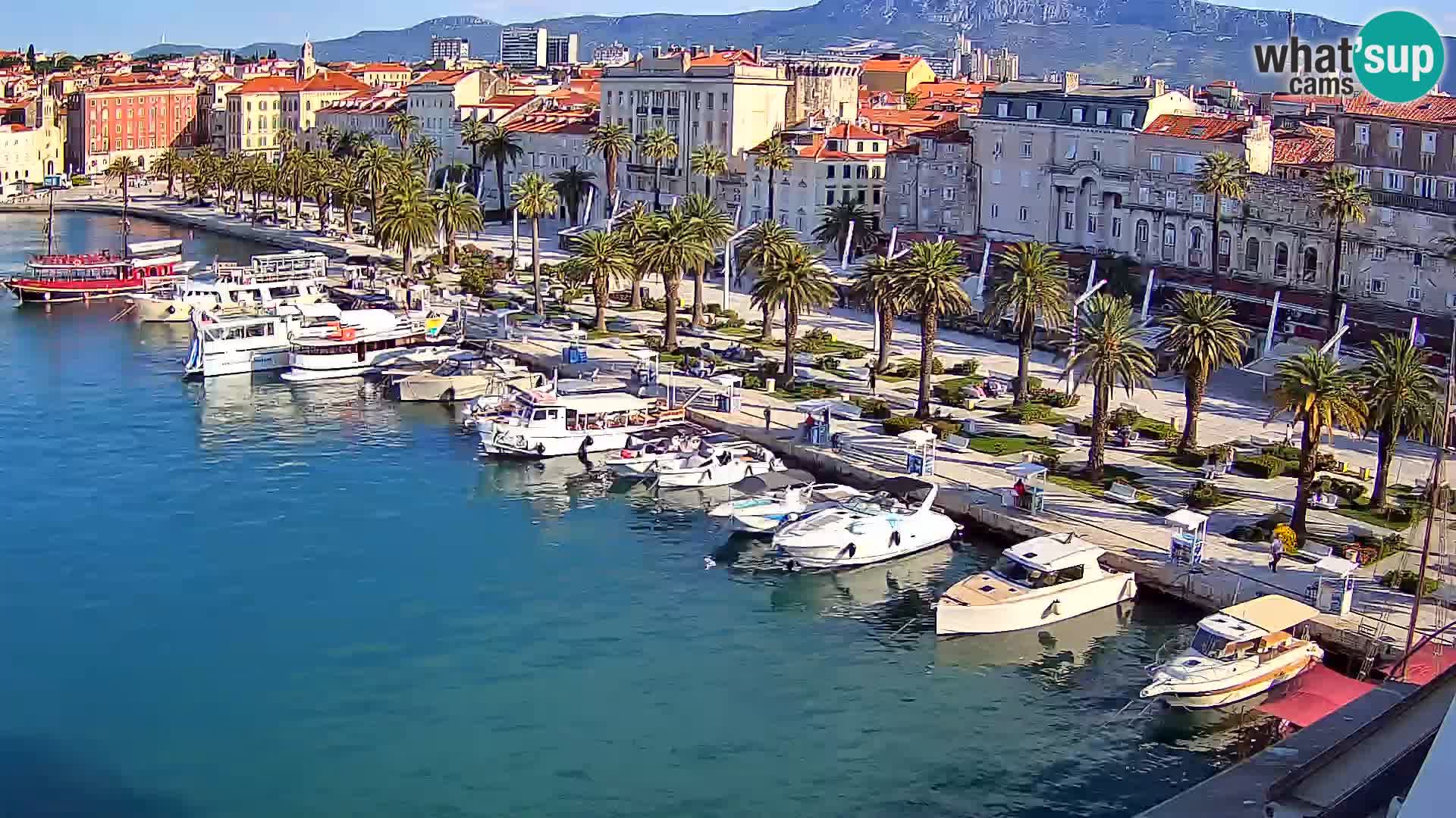 Split livecam panorama