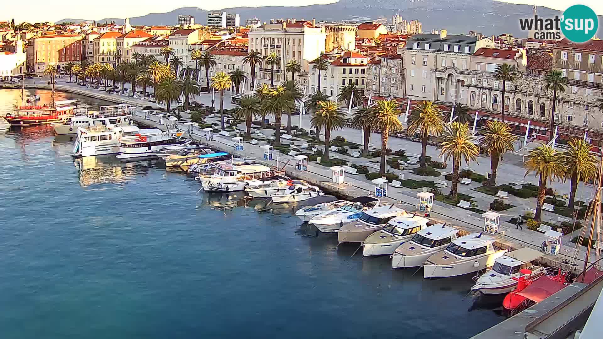 Split livecam panorama