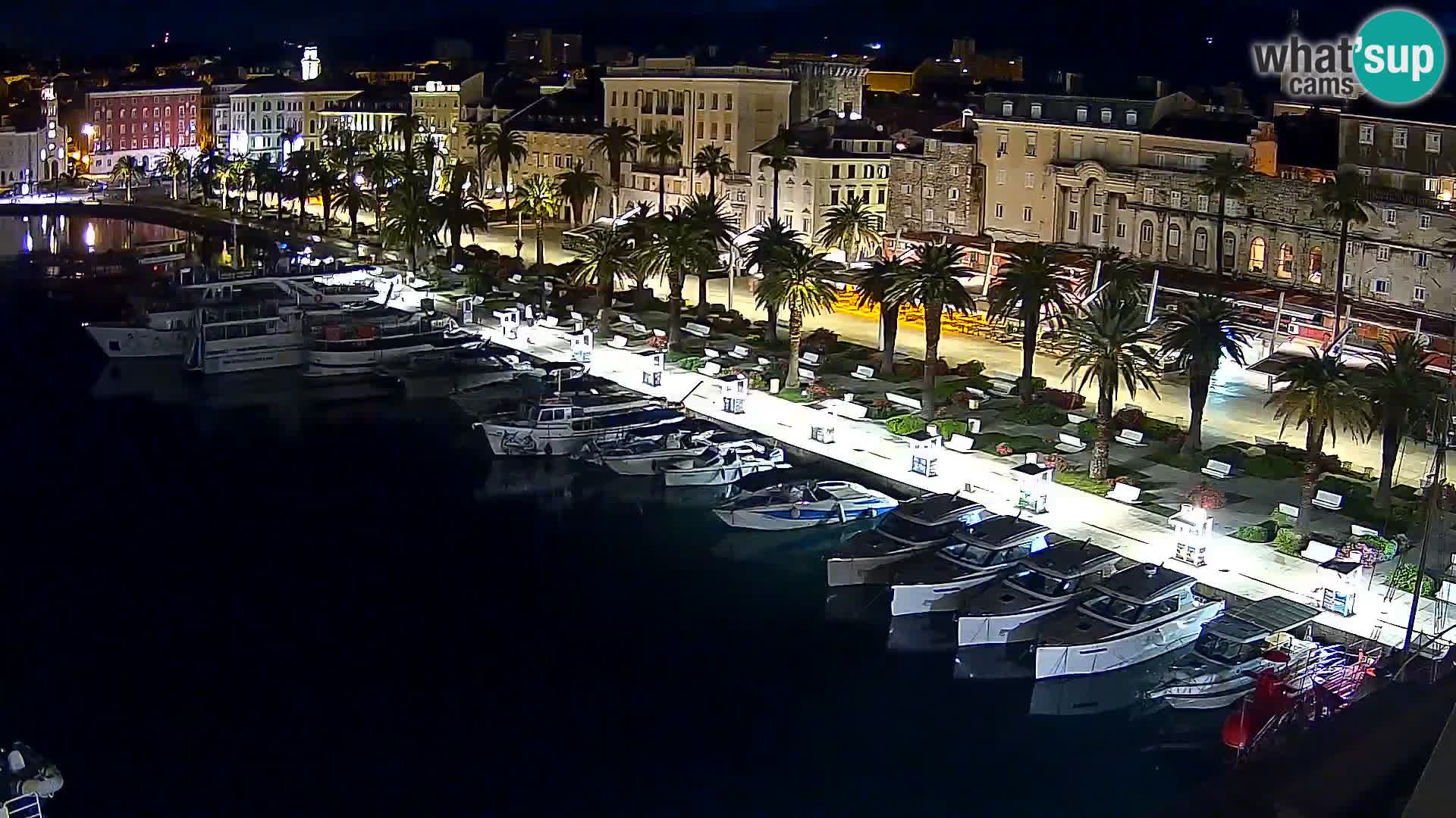 Split v živo panoramska kamera
