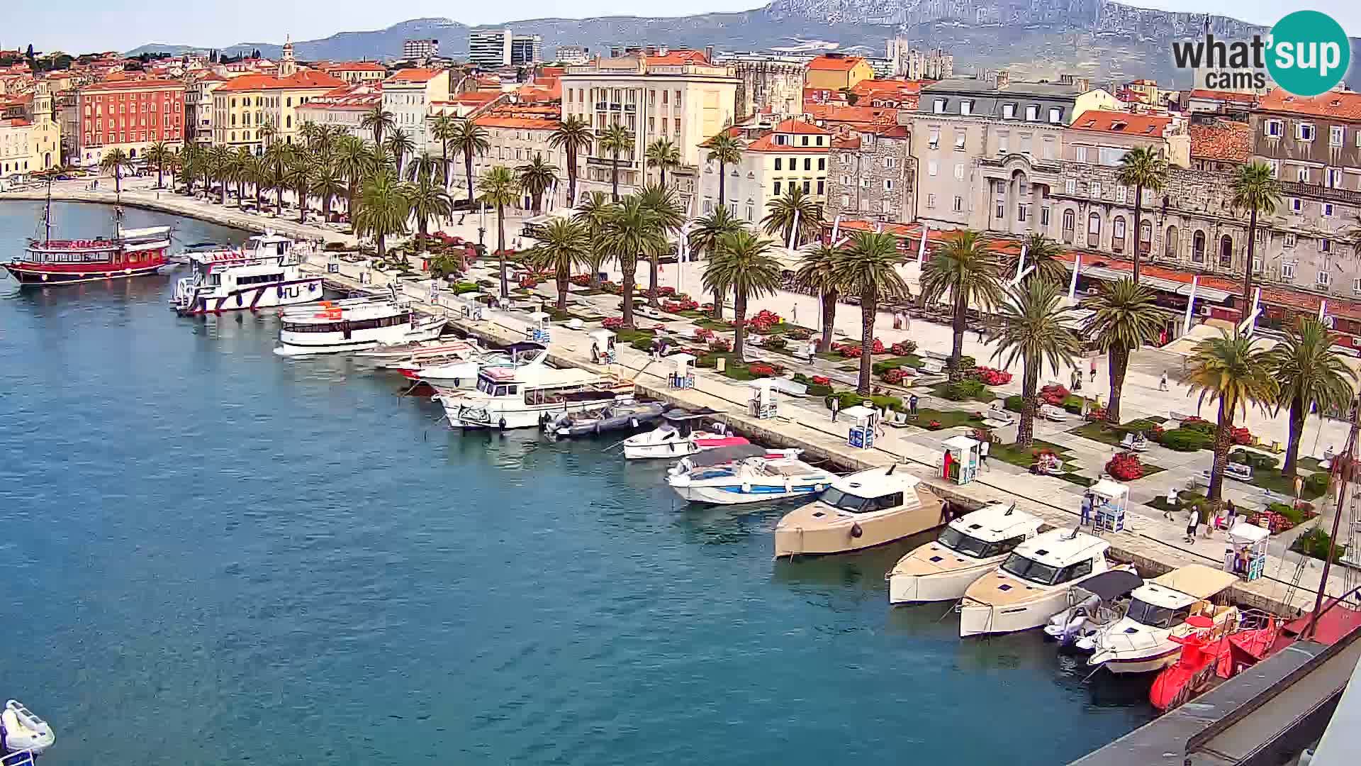 Split livecam panorama