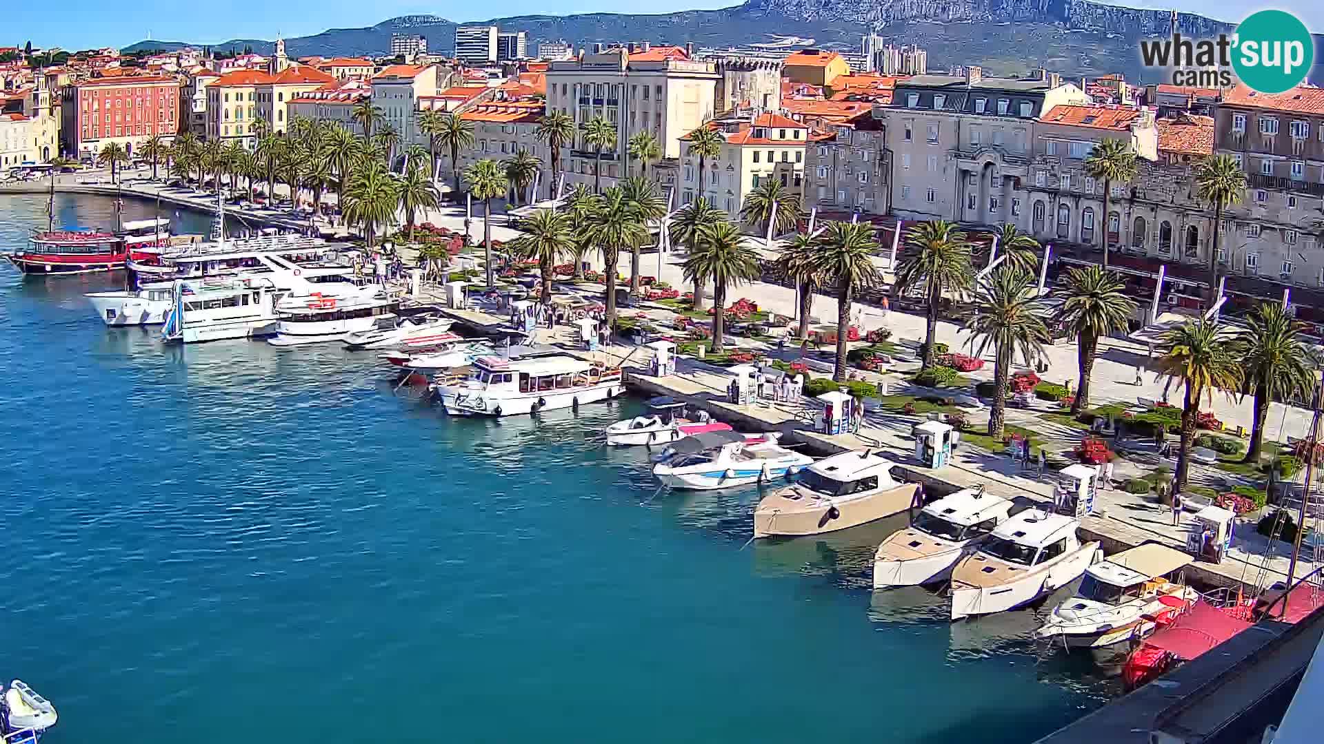 Split livecam panorama