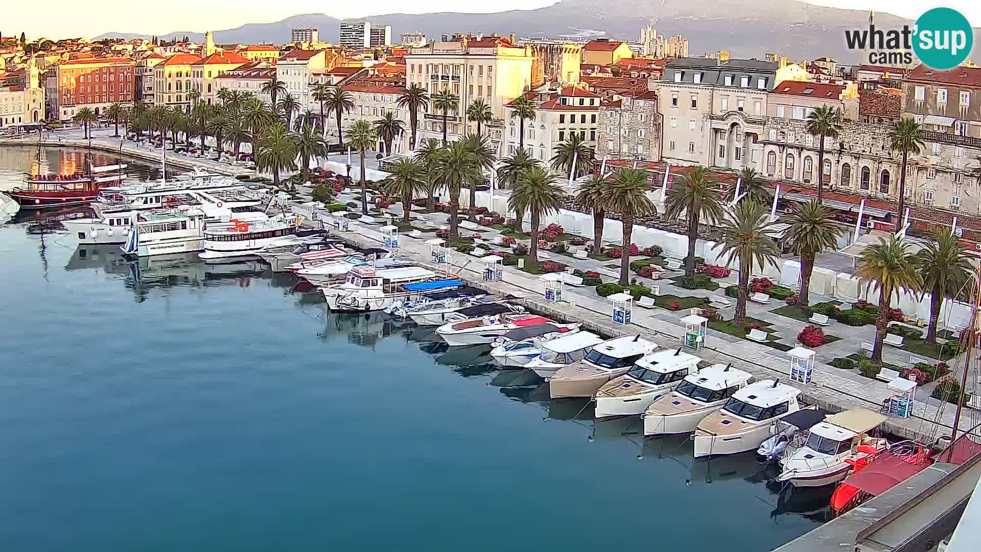 Split v živo panoramska kamera