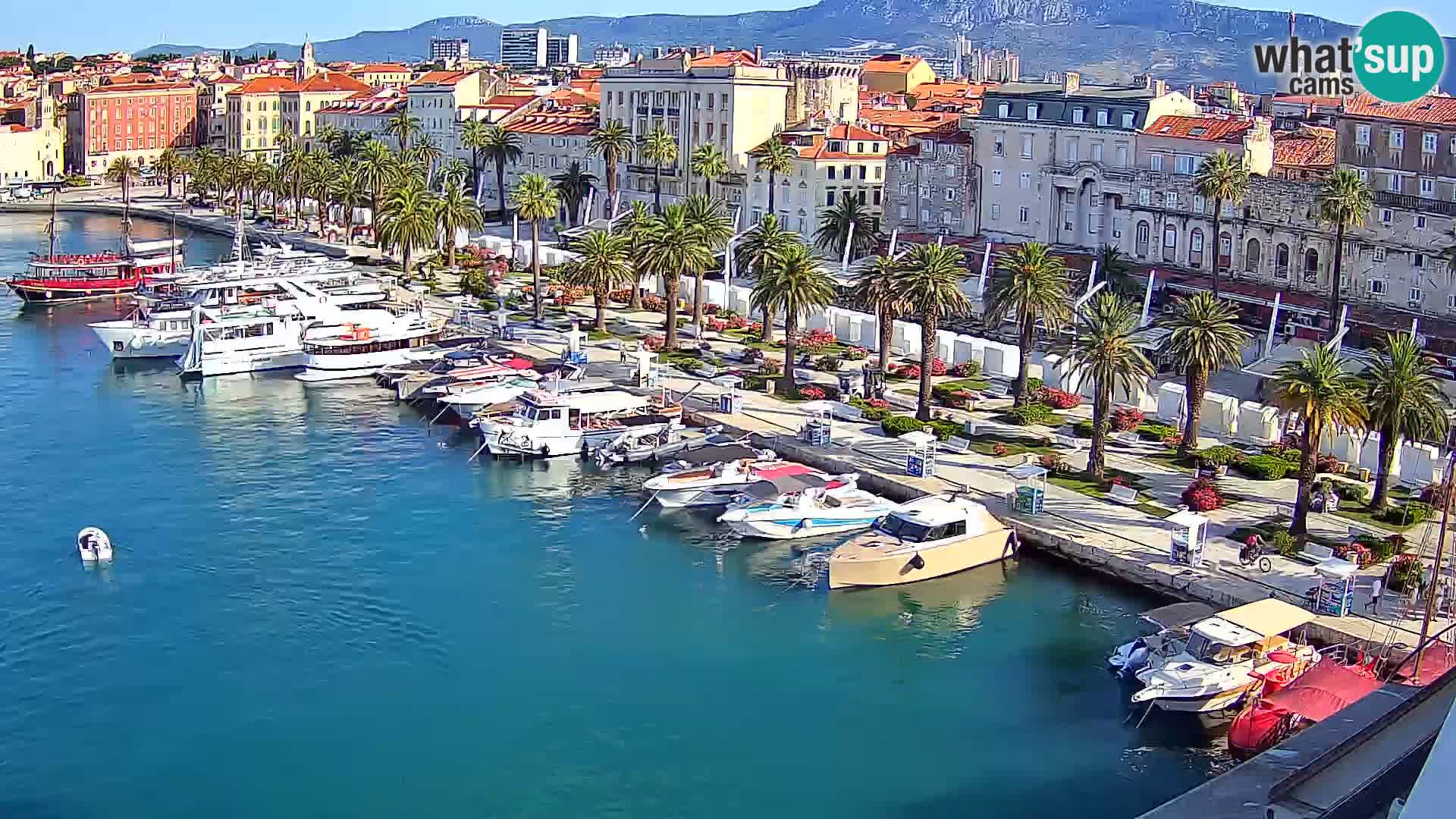Split panorama en vivo