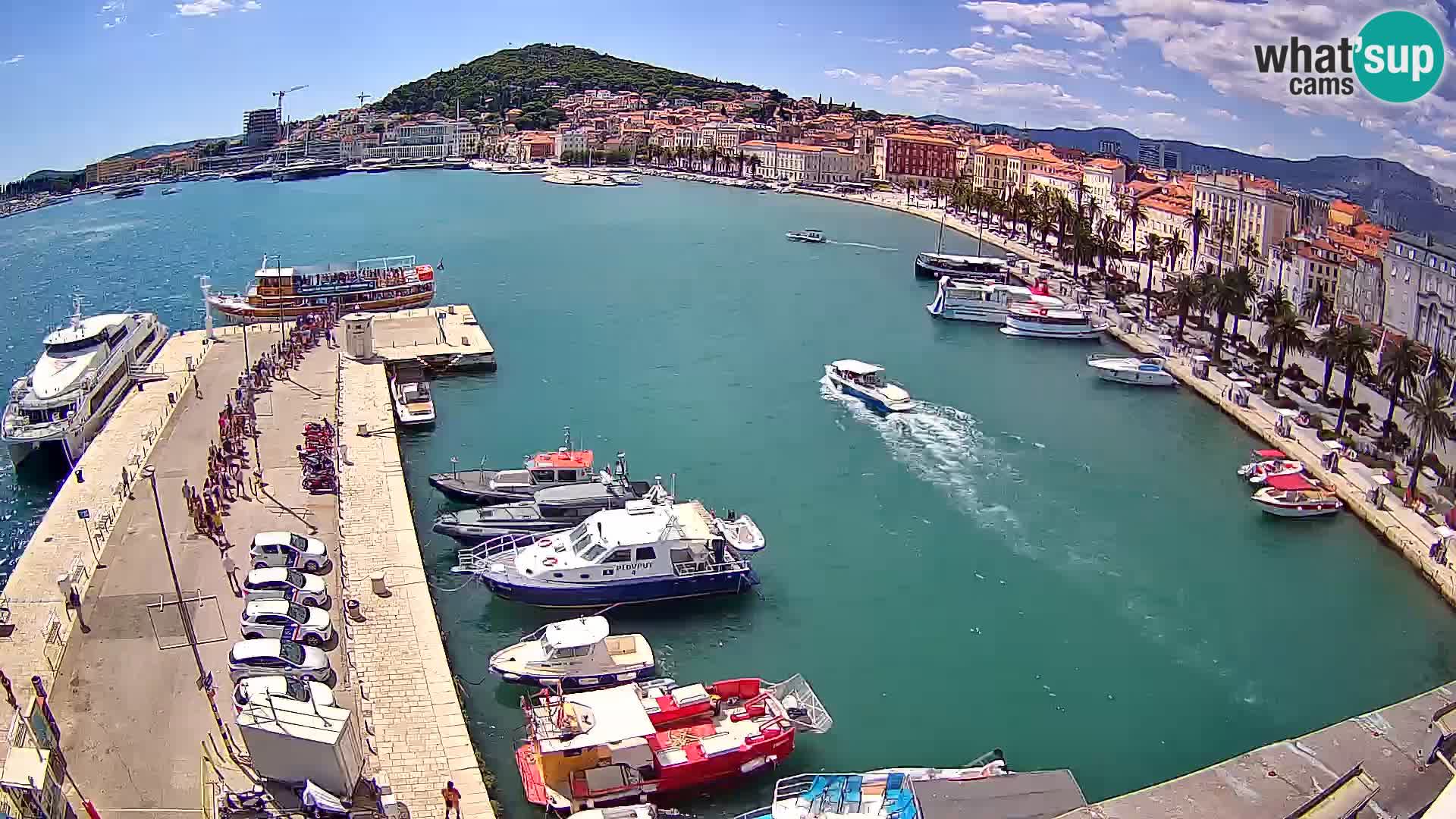 Split livecam panorama