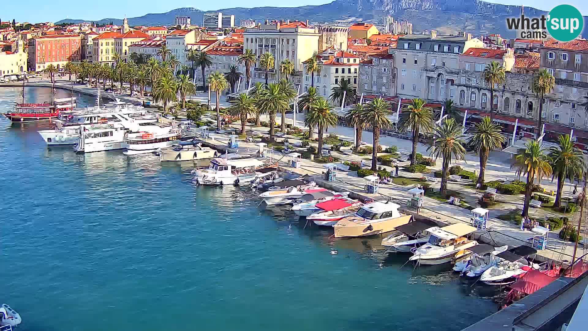 Split v živo panoramska kamera