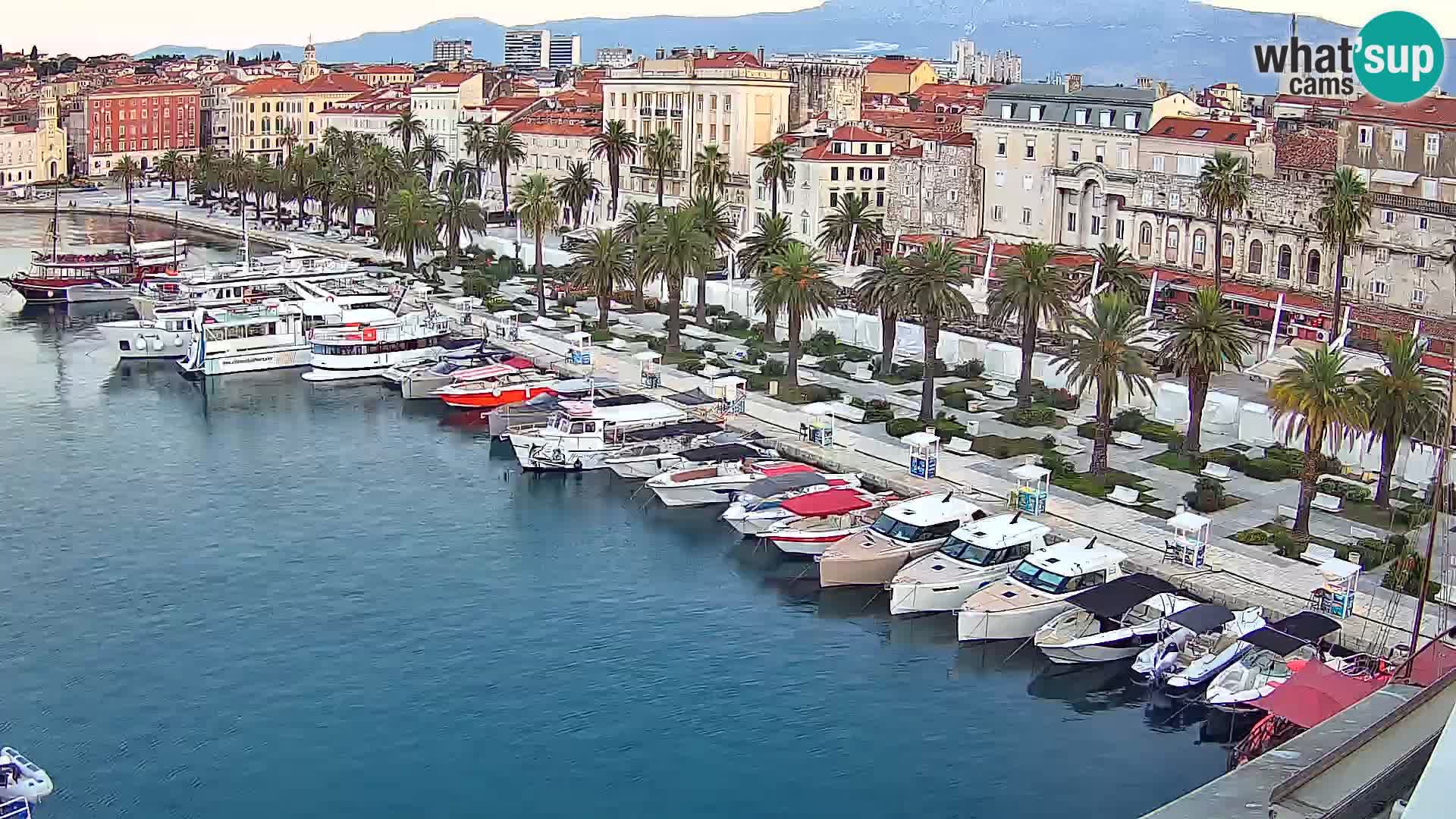 Split v živo panoramska kamera