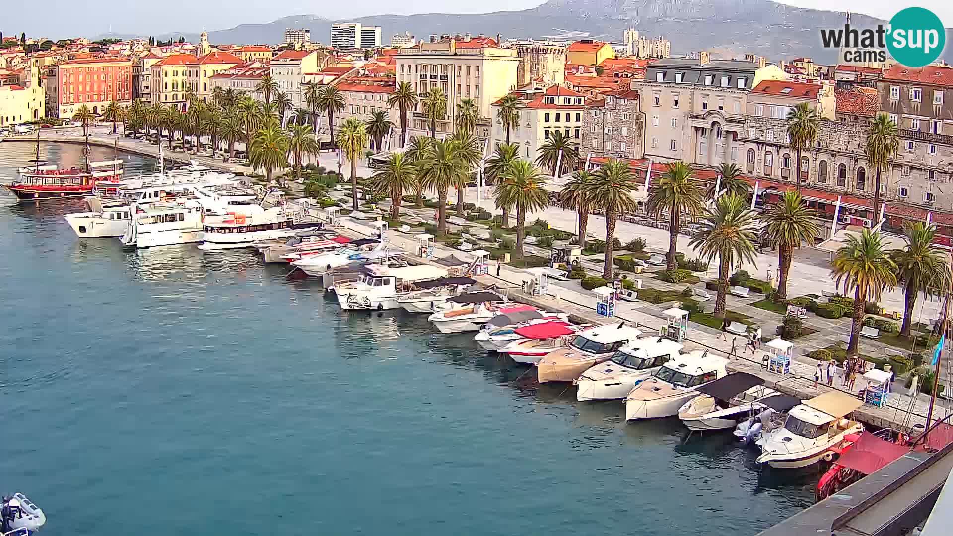 Split livecam panorama