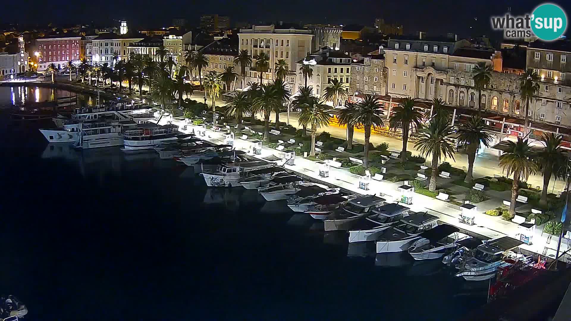 Split v živo panoramska kamera
