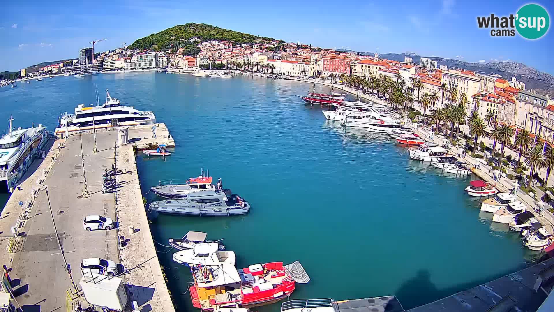Split panorama en vivo