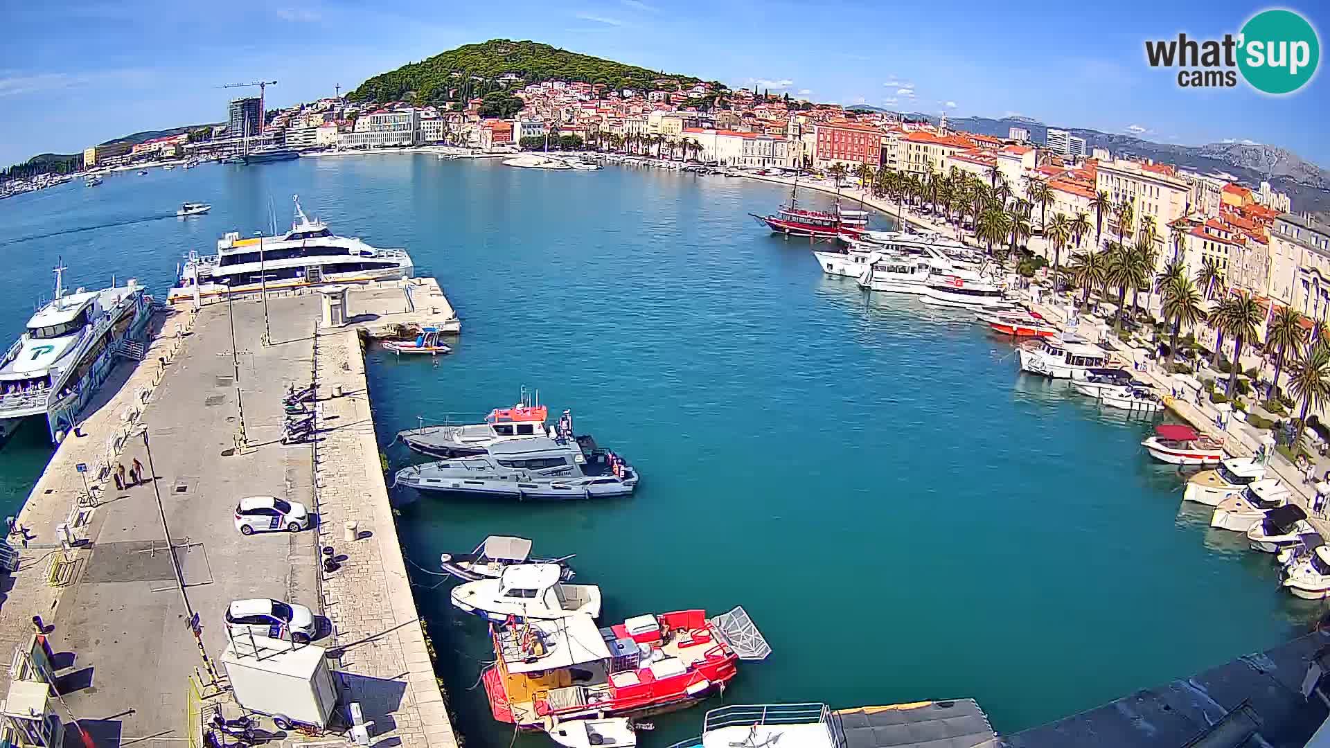Split v živo panoramska kamera