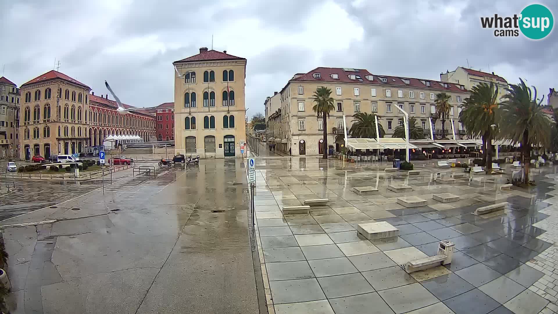 Webcam Spalato Riva – Prokurative | Piazza della Republika