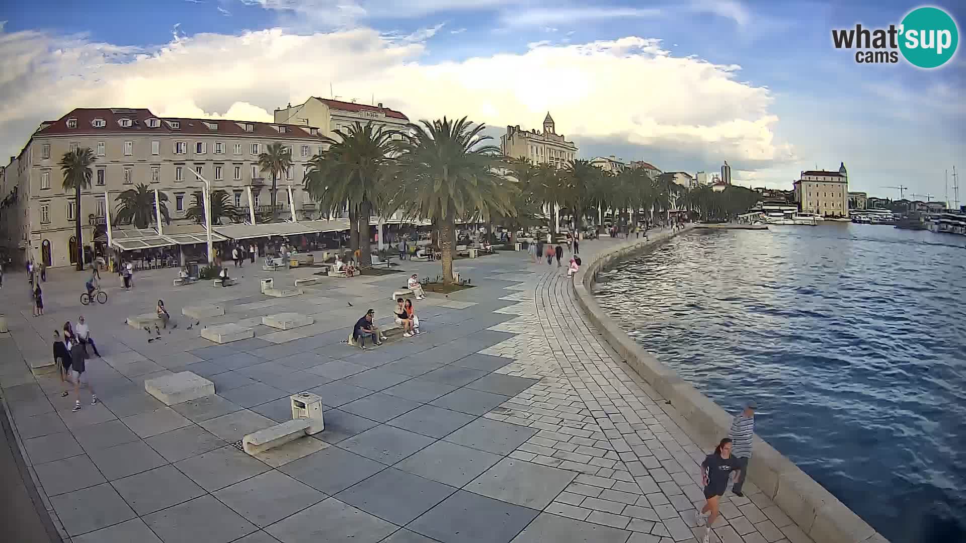 Webcam Split Riva – Prokurative | Trg Republike