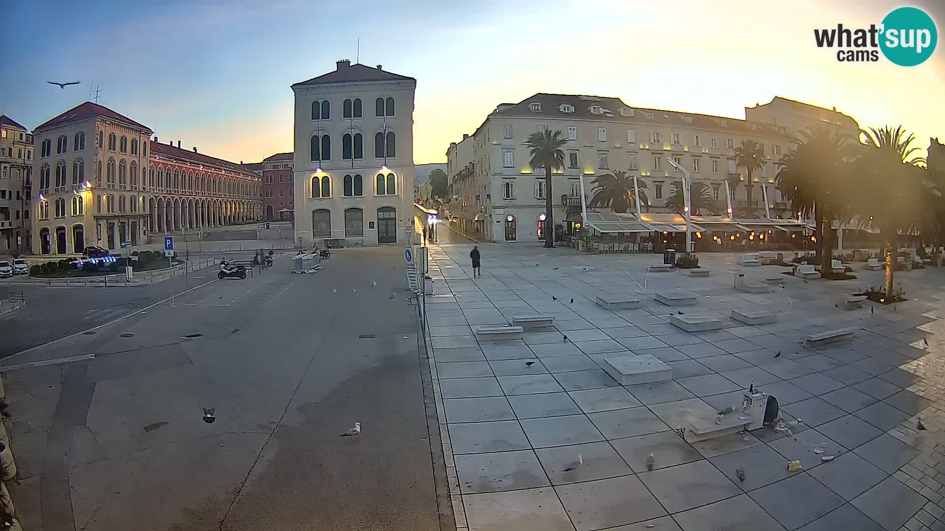 Webcam Split Riva – Prokurative | Trg Republike