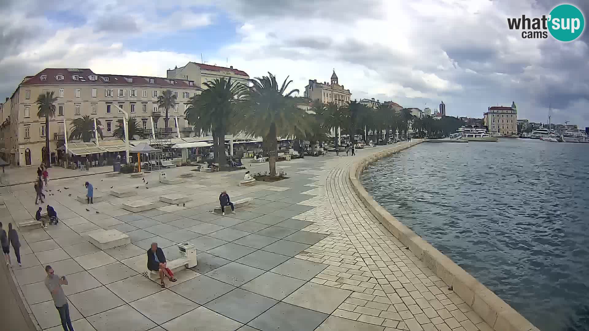 Webcam Spalato Riva – Prokurative | Piazza della Republika