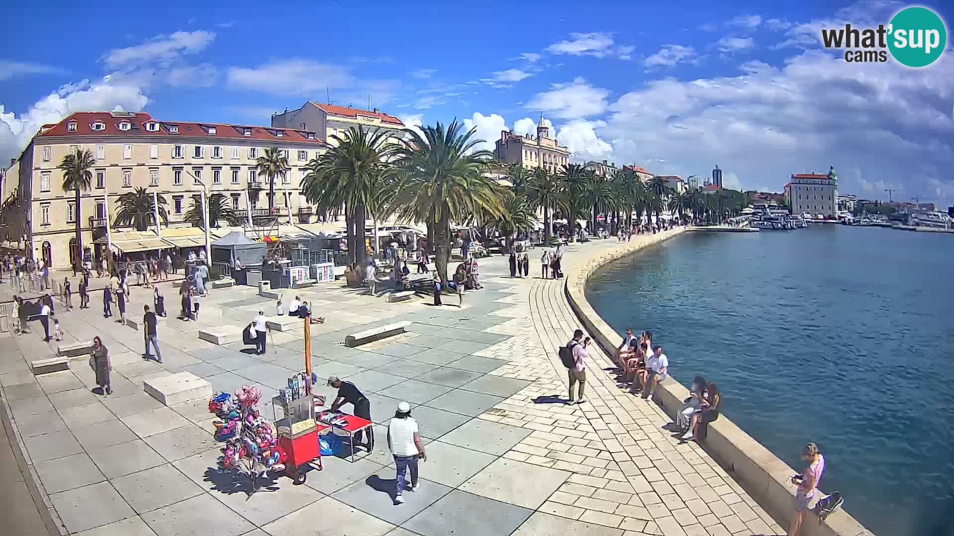 Webcam Split Riva – Prokurative | Trg Republike