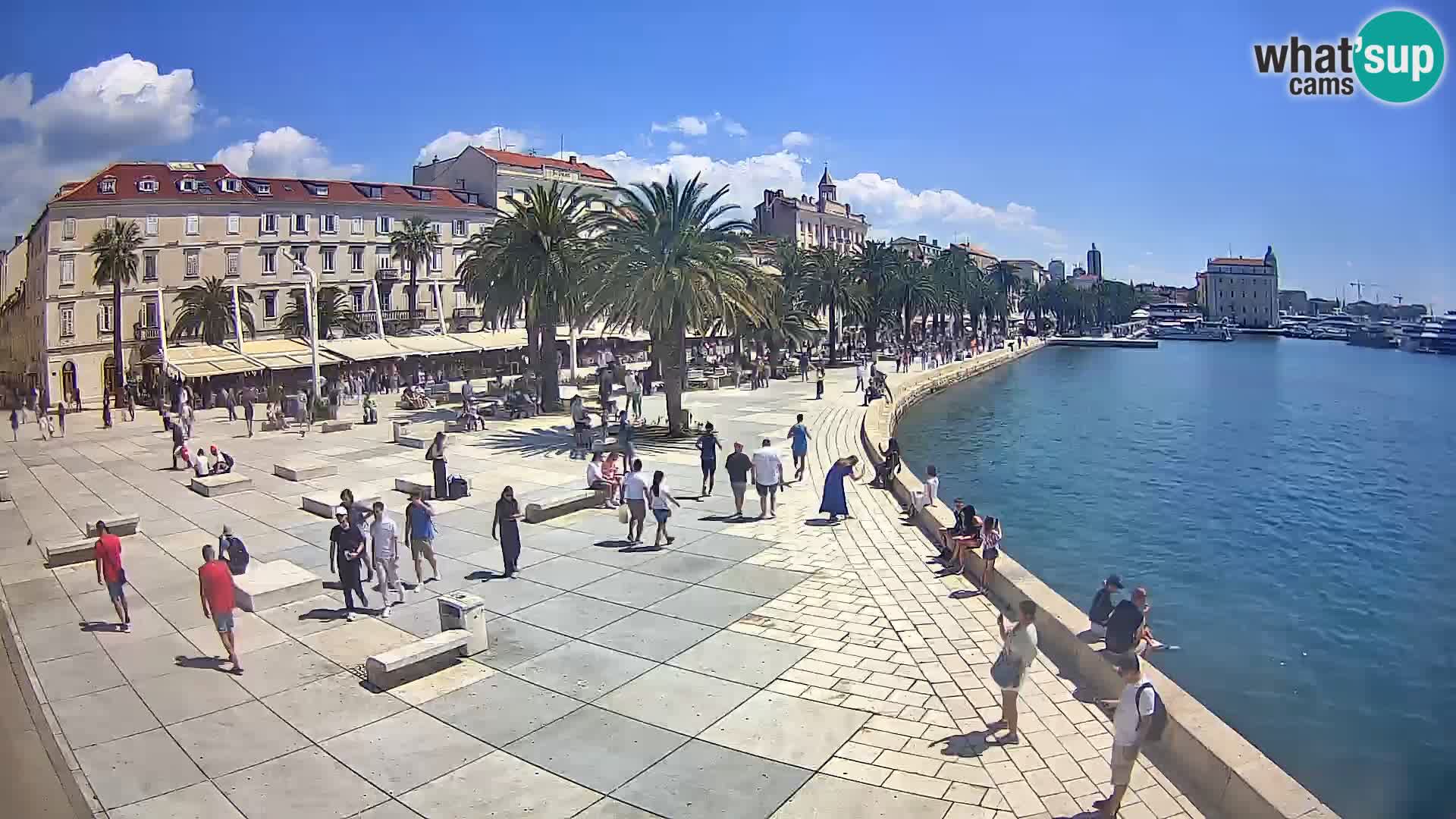 Webcam Split Riva – Prokurative | Trg Republike