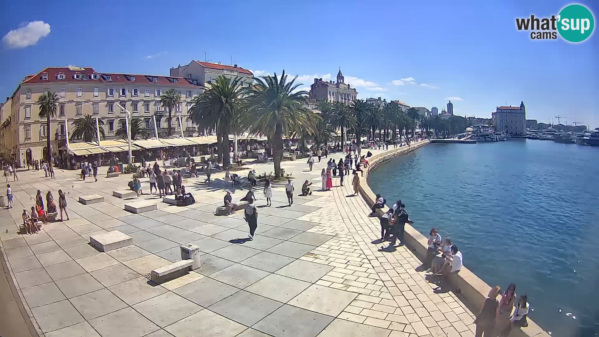 Live kamera Split Riva – Prokurative | Trg Republike