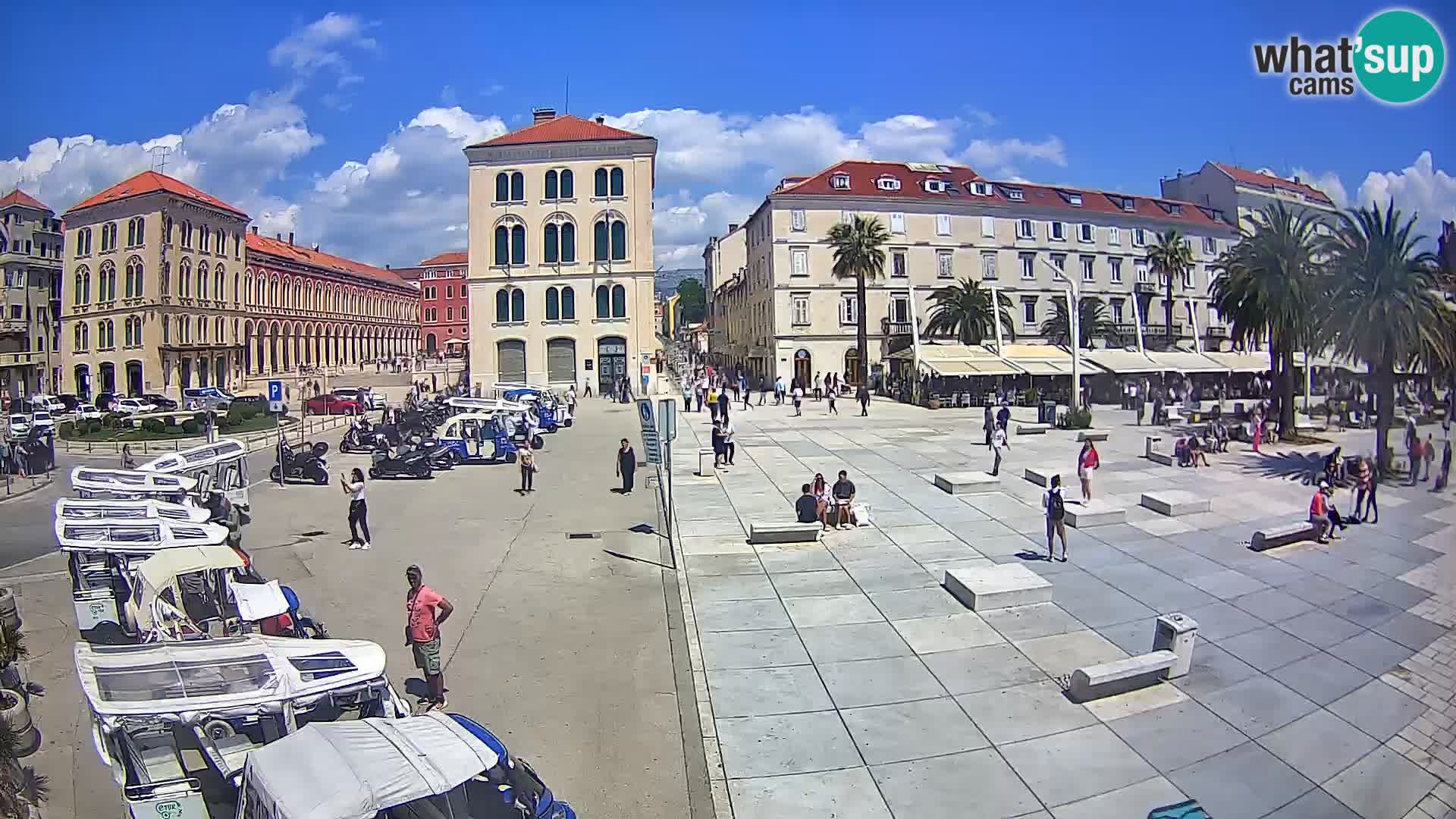 Webcam Split Riva – Prokurative | Trg Republike