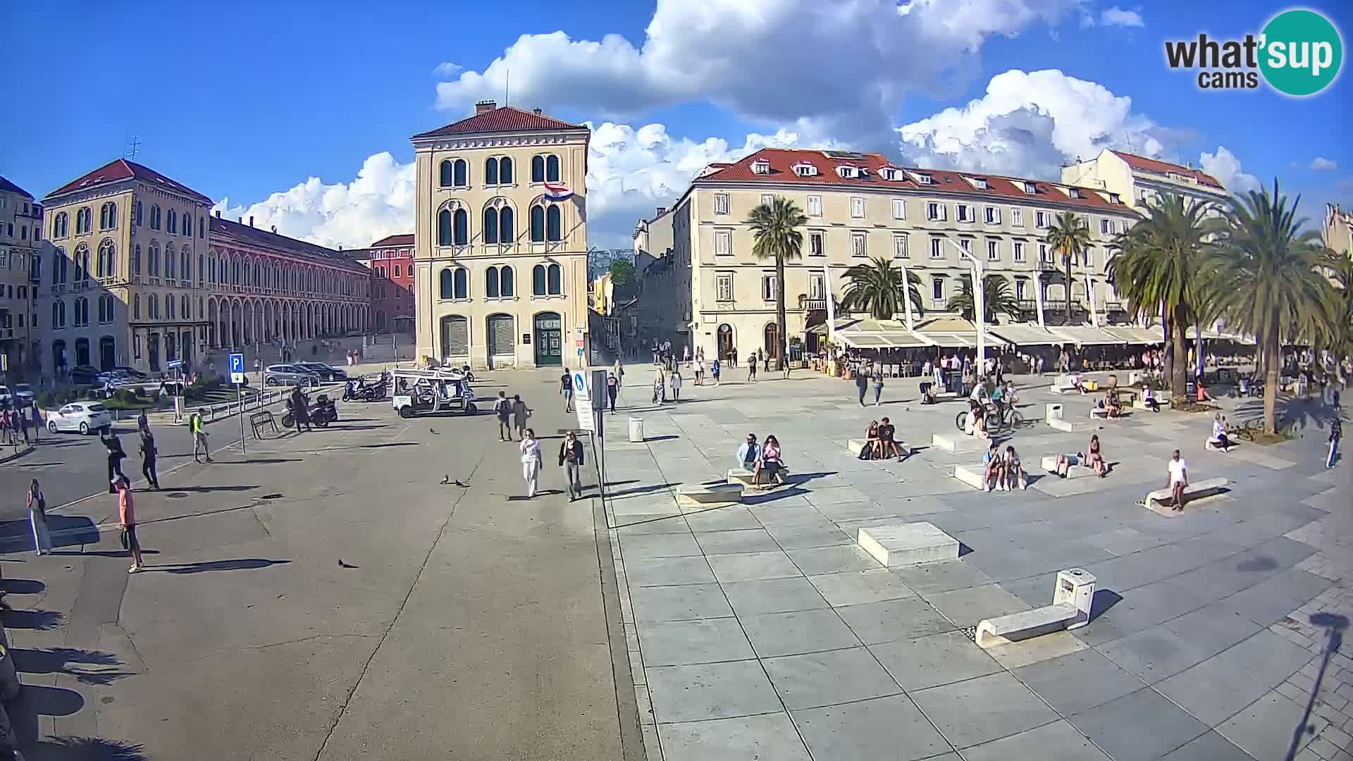 Webcam Split Riva – Prokurative | Trg Republike