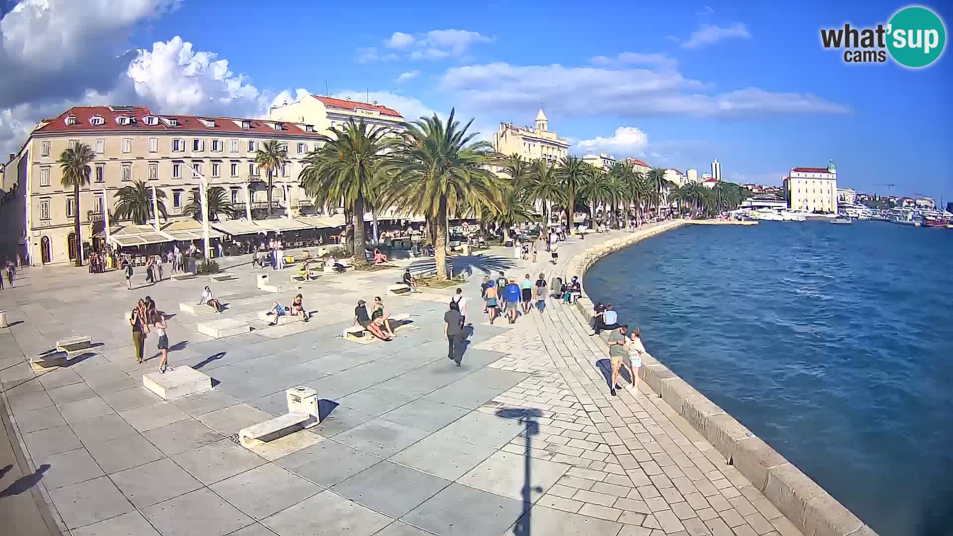 Webcam Split Riva – Prokurative | Trg Republike