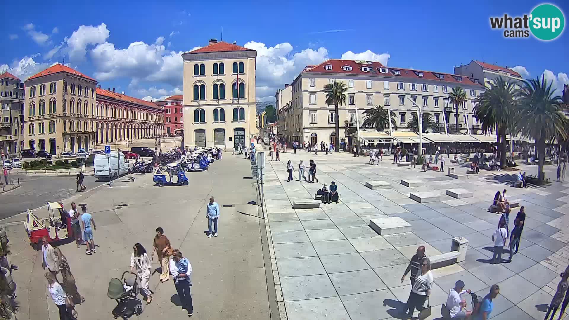 Webcam Split Riva – Prokurative | Trg Republike