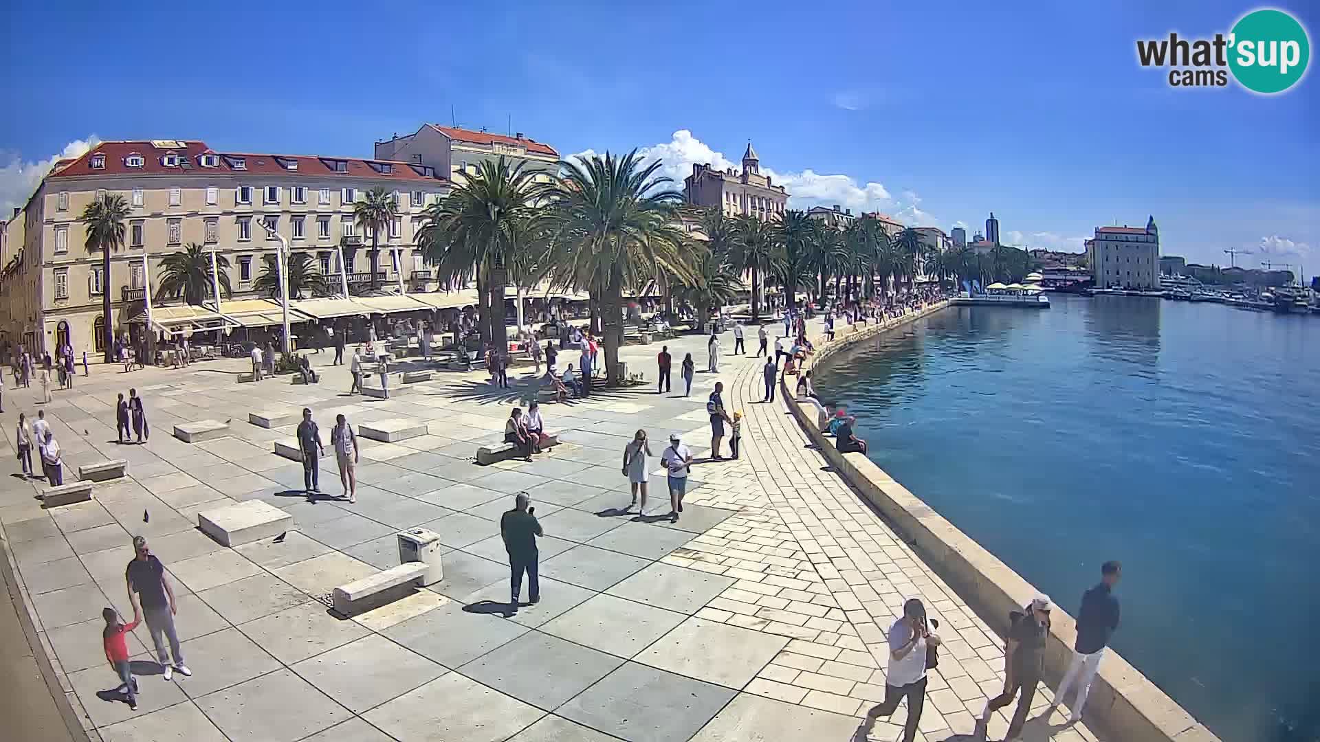 Webcam Split Riva – Prokurative | Trg Republike