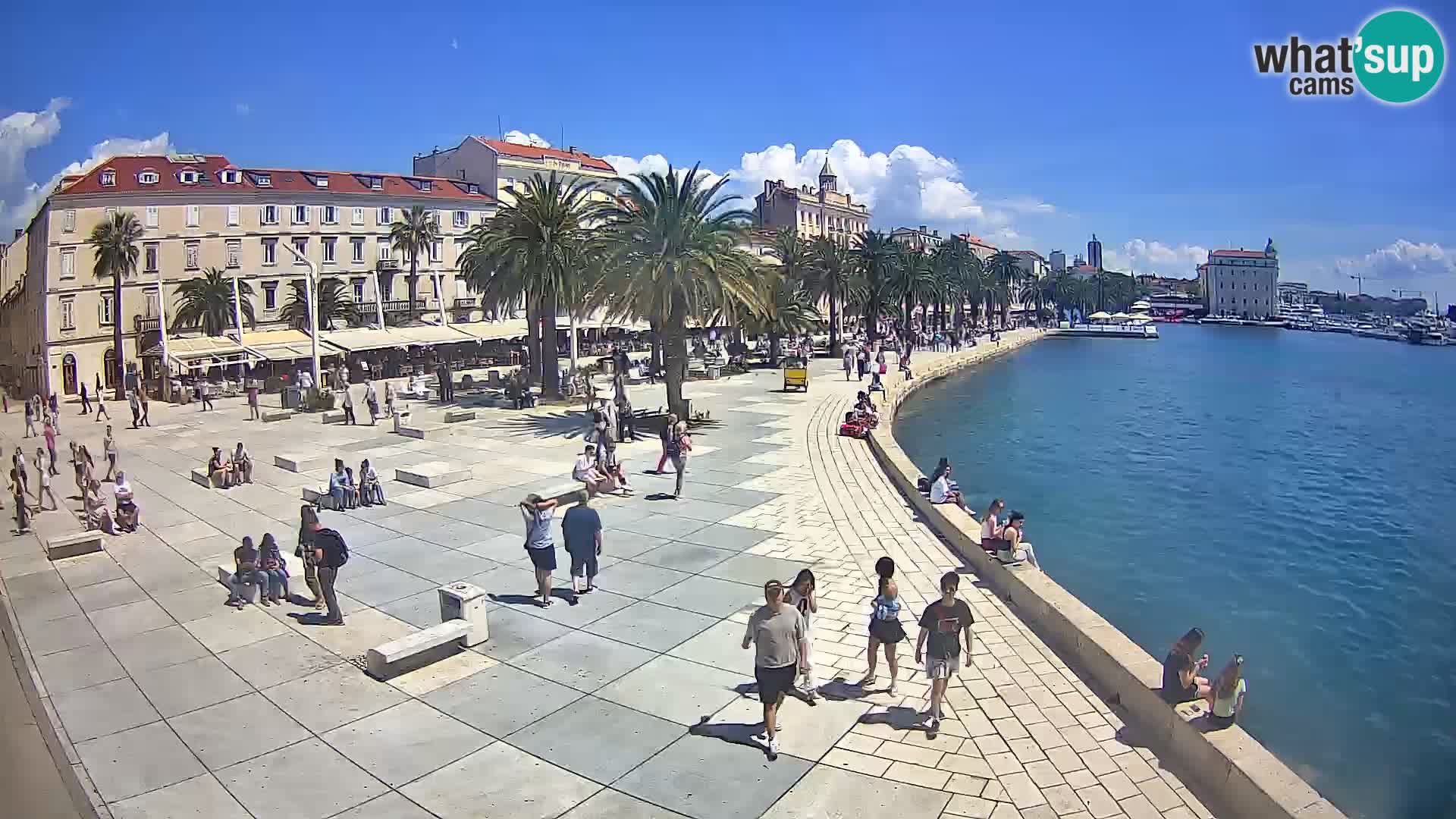 Live kamera Split Riva – Prokurative | Trg Republike