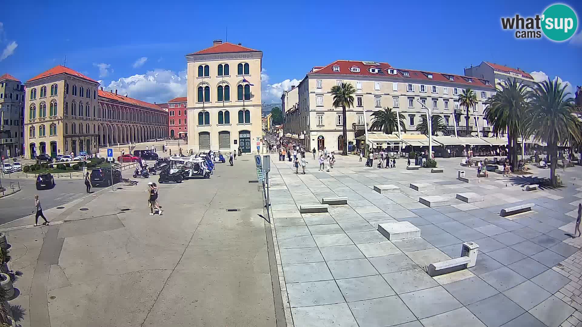 Webcam Split Riva – Prokurative | Trg Republike
