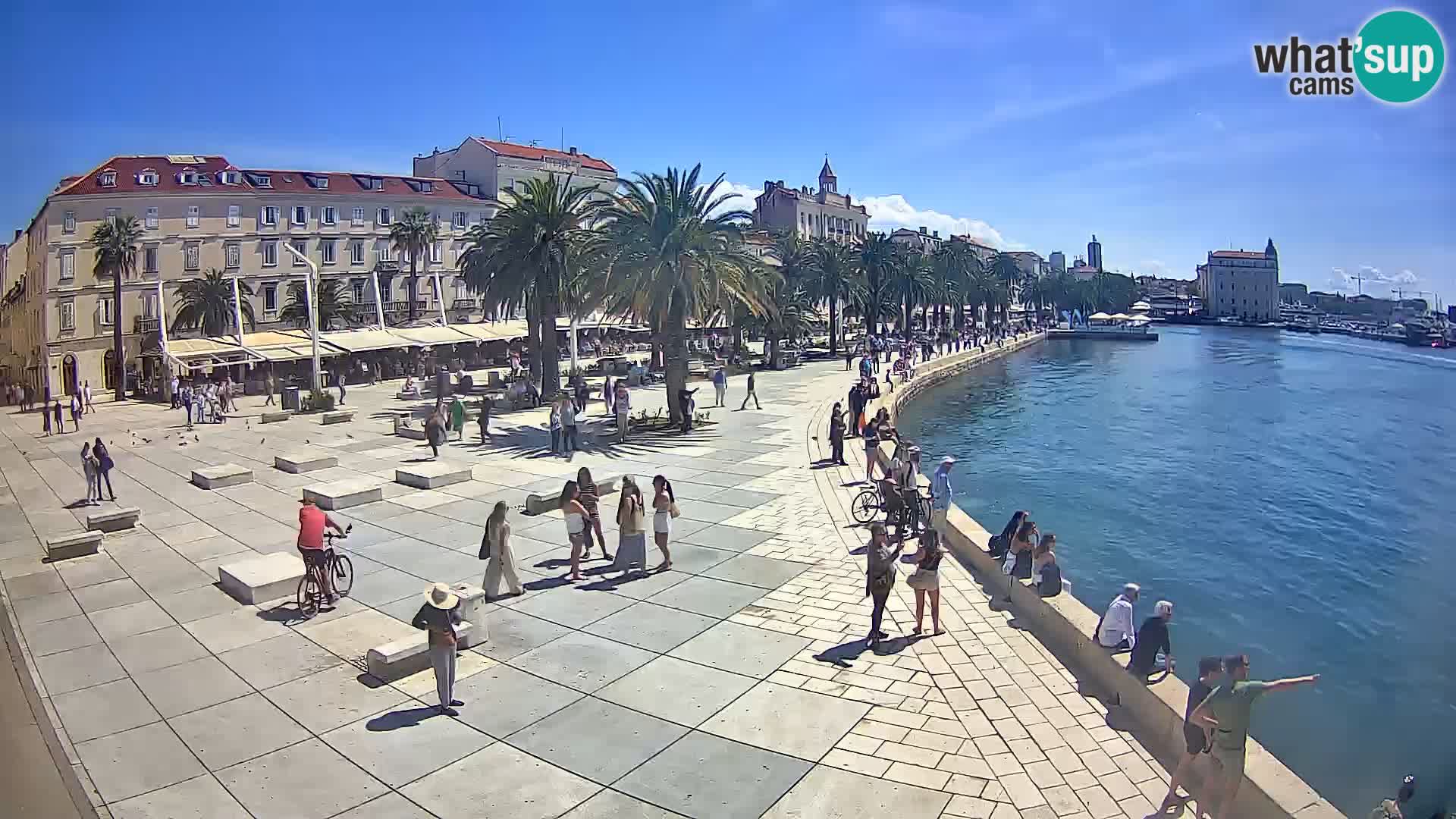 Webcam Split Riva – Prokurative | Trg Republike