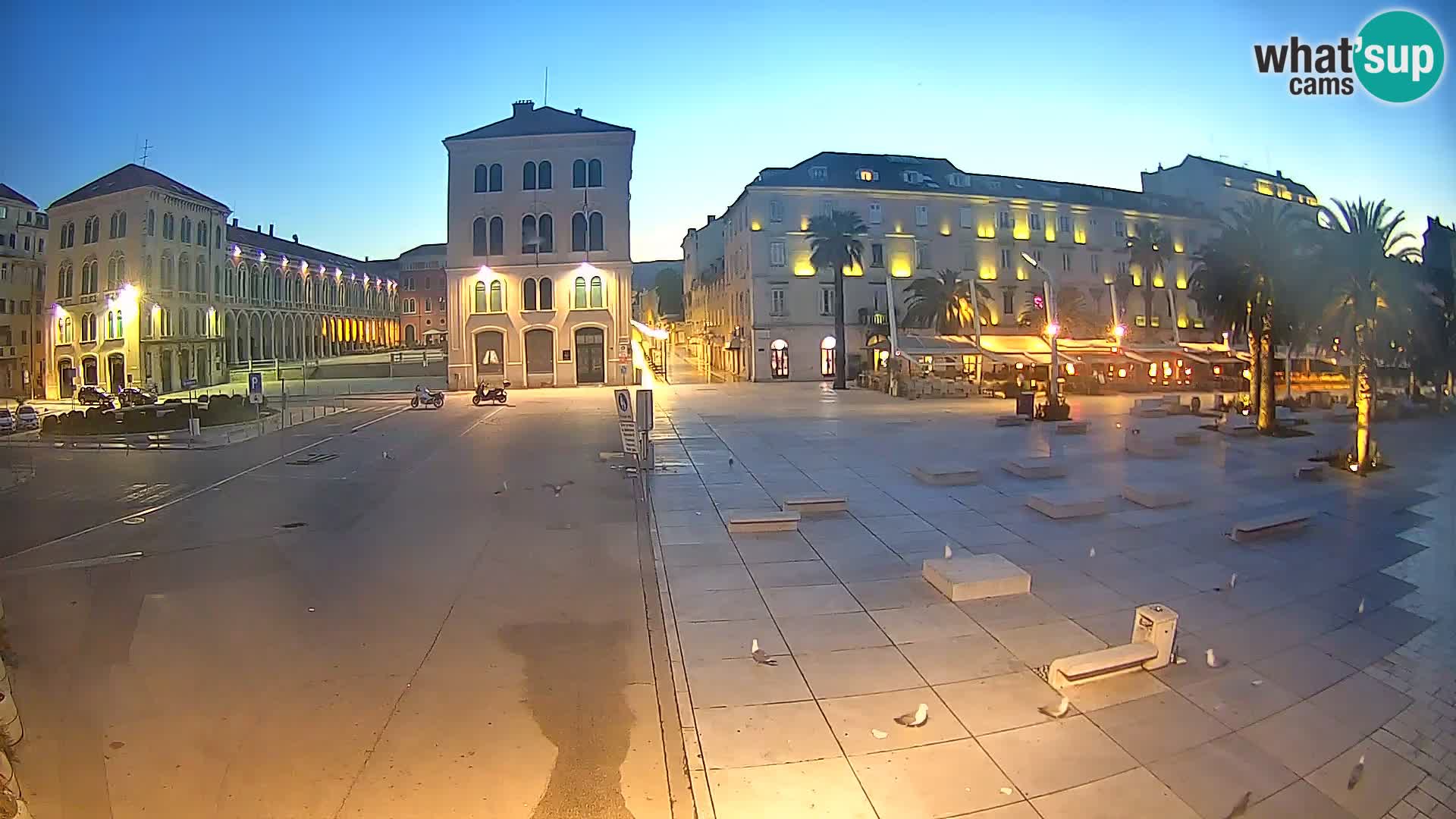 Webcam Split Riva – Prokurative | Trg Republike
