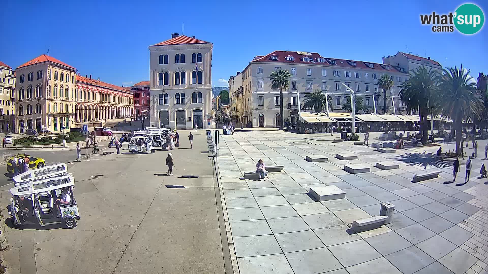 Webcam Split Riva – Prokurative | Trg Republike