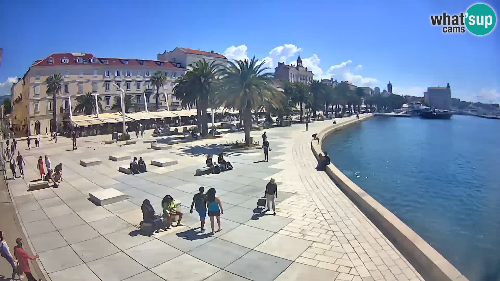 Webcam Split Riva – Prokurative | Trg Republike