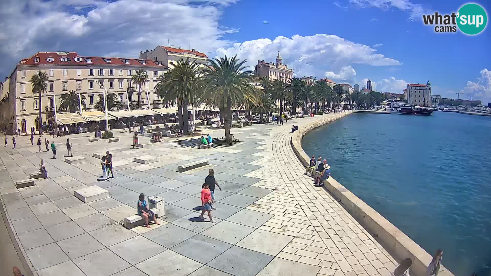 Webcam Split Riva – Prokurative | Trg Republike