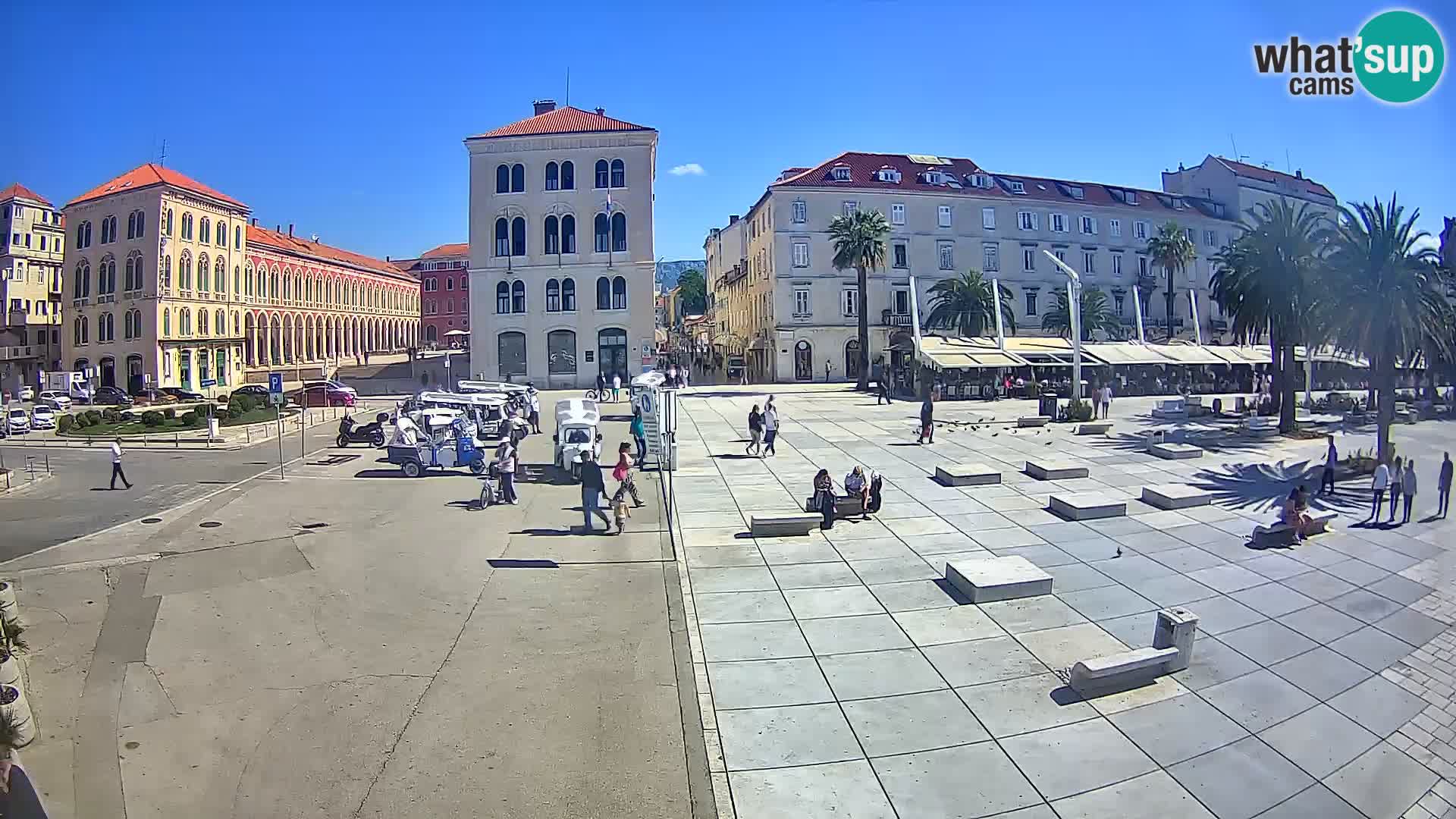 Webcam Split Riva – Prokurative | Trg Republike