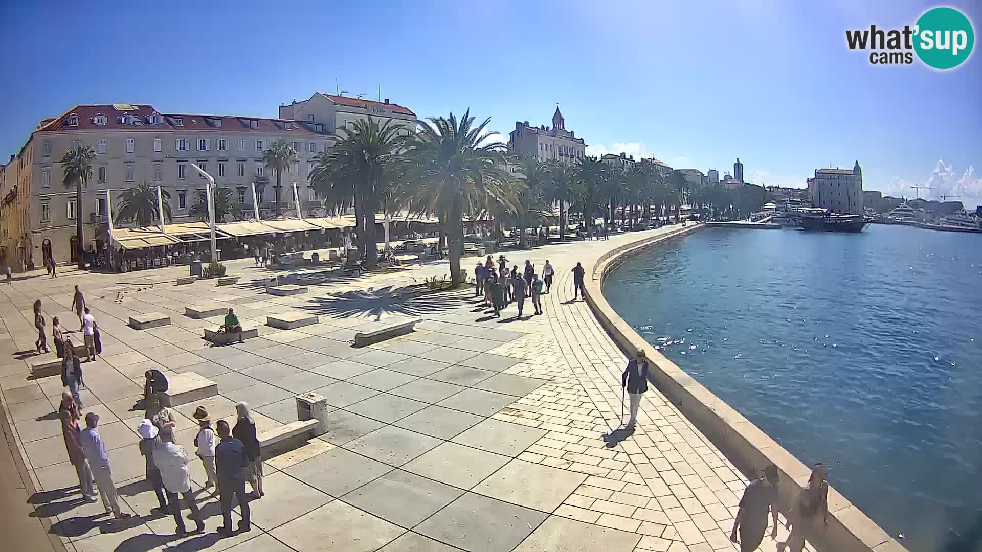 Webcam Split Riva – Prokurative | Trg Republike