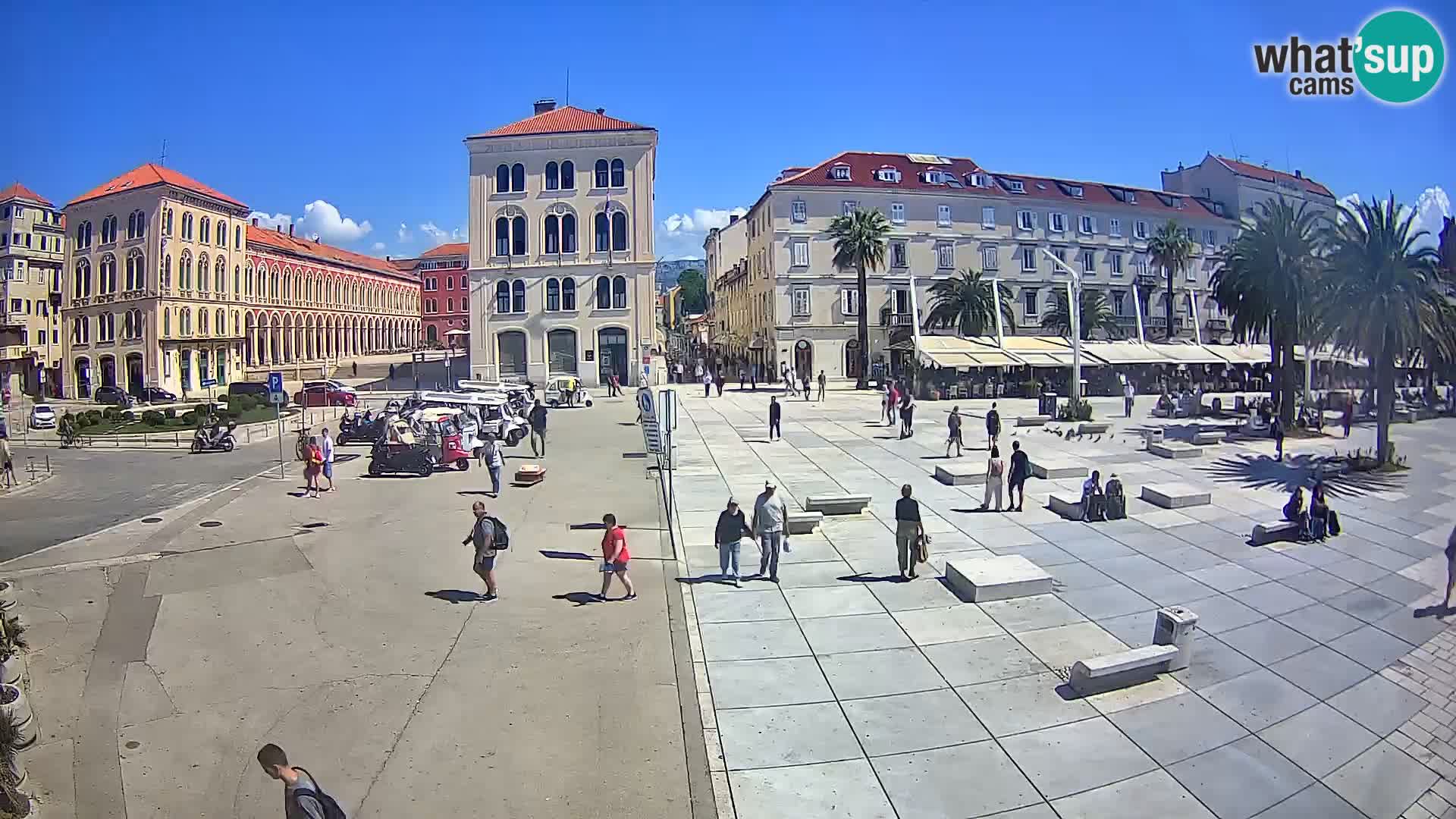 Webcam Split Riva – Prokurative | Trg Republike