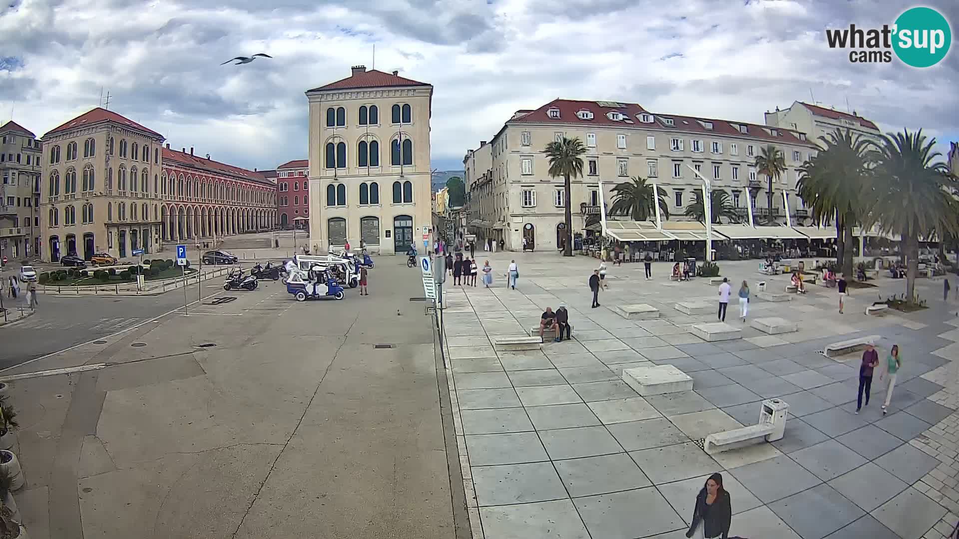 Split kamera Riva – Prokurative | Trg Republike
