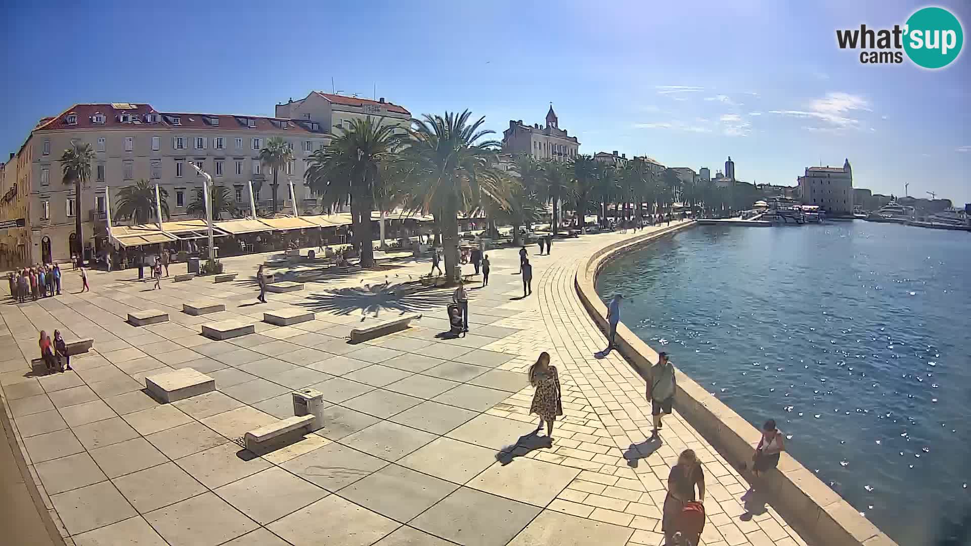 Webcam Split Riva – Prokurative | Trg Republike