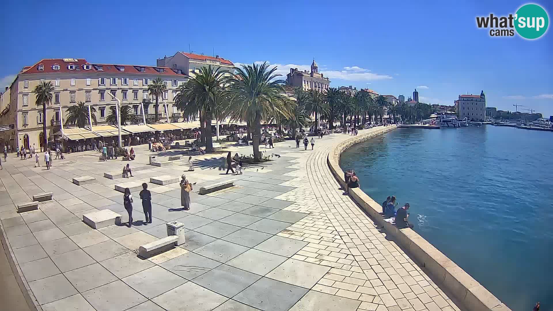 Webcam Spalato Riva – Prokurative | Piazza della Republika