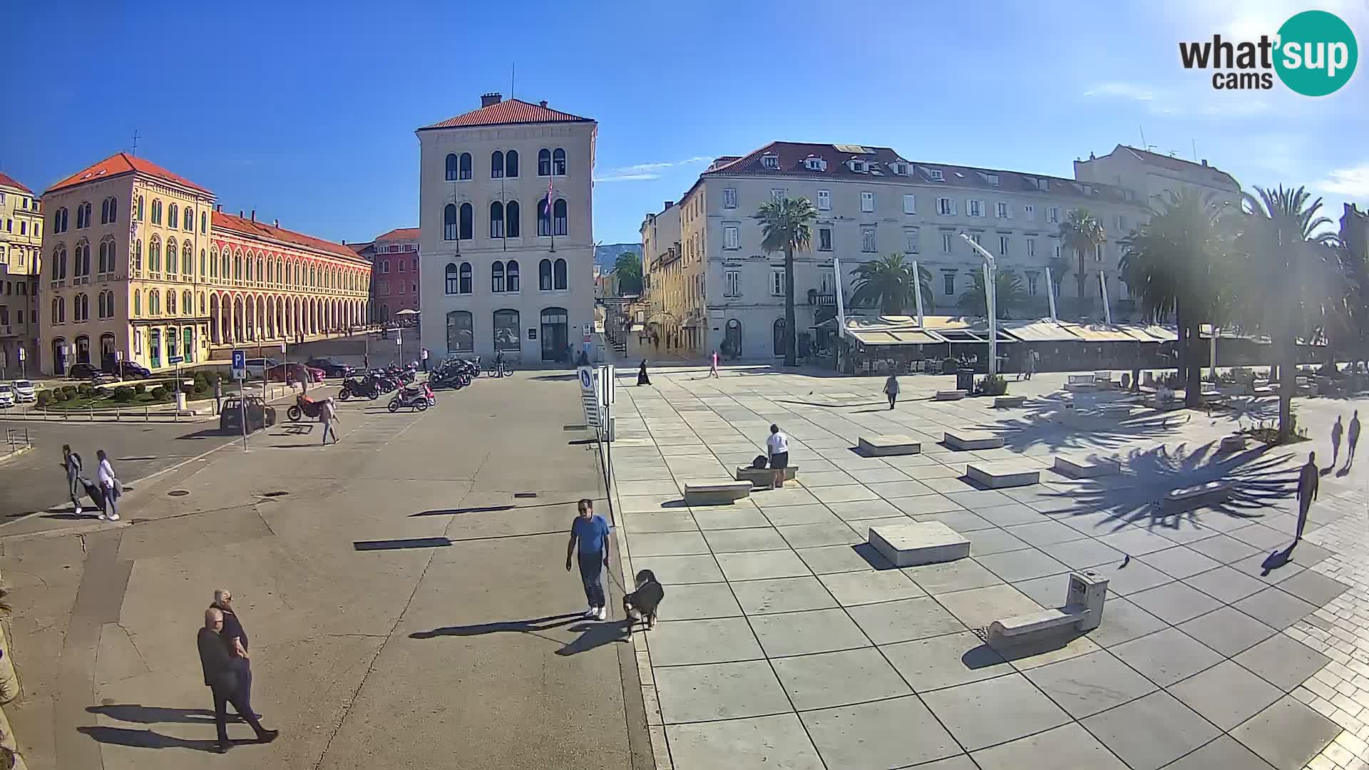 Webcam Split Riva – Prokurative | Trg Republike