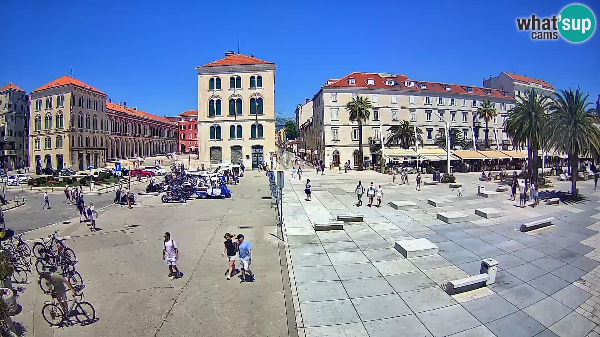 Webcam Split Riva – Prokurative | Trg Republike